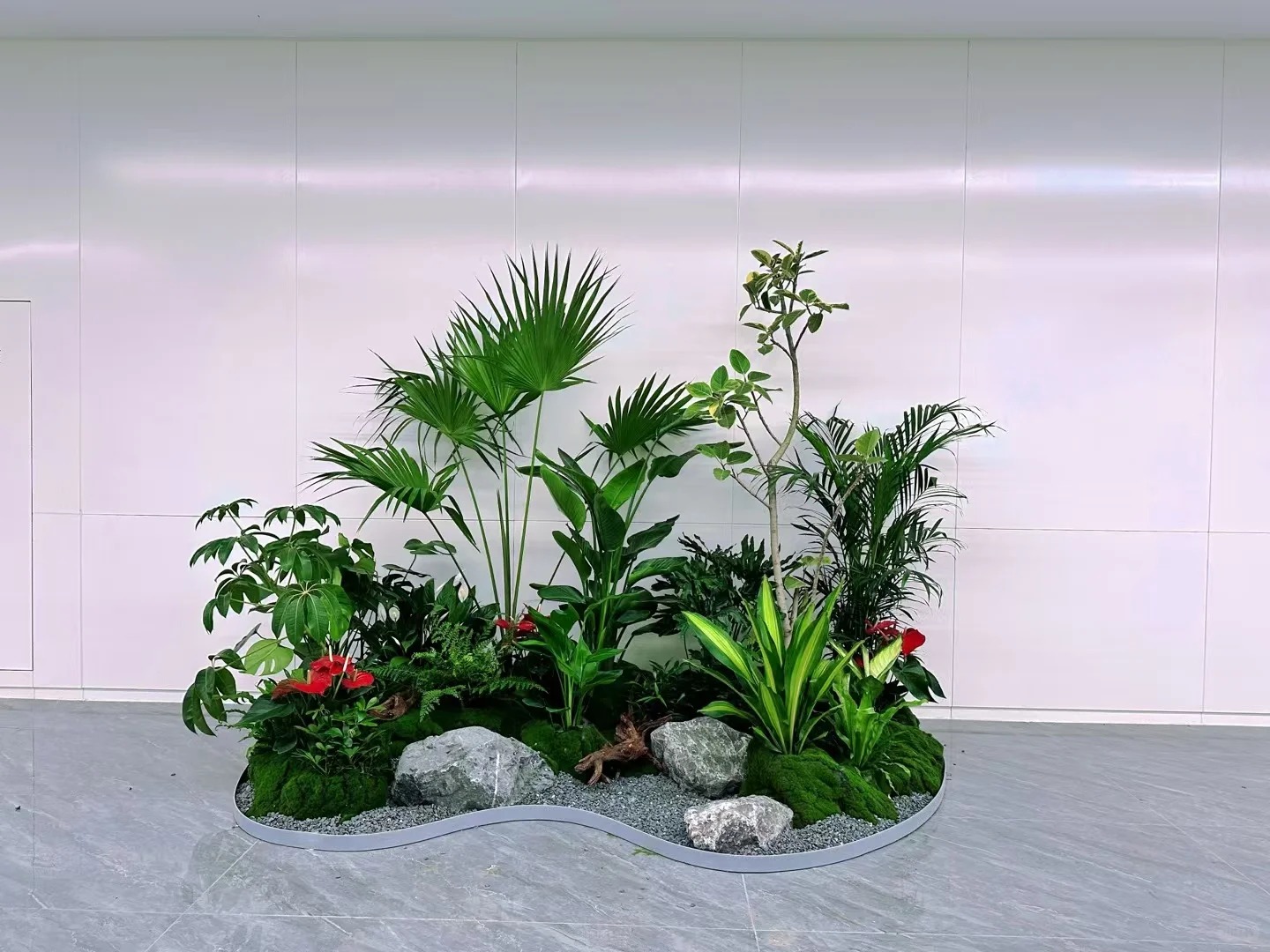 余姚专业植物租摆，为家居增添别样生机！