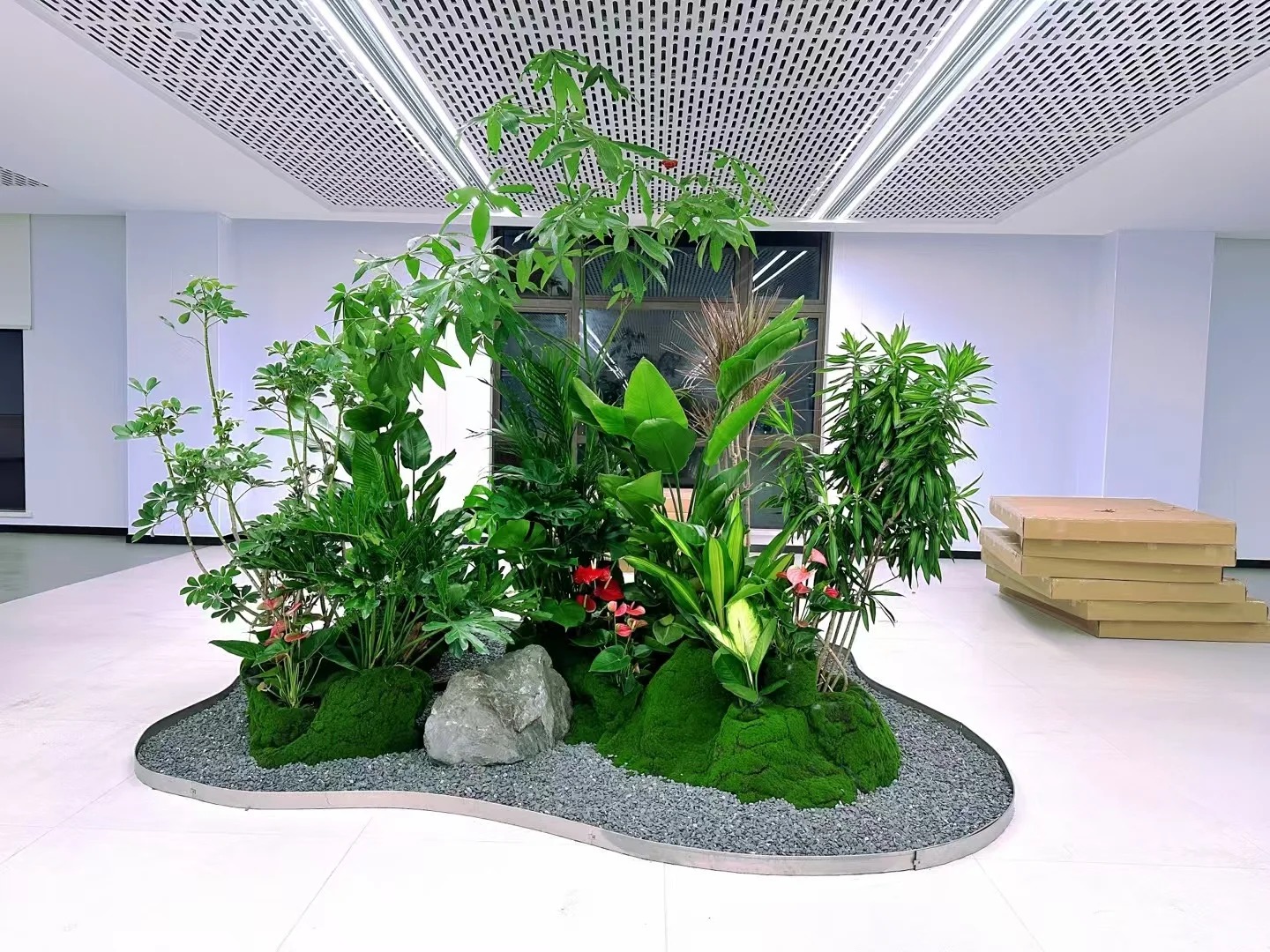 余姚专业植物租摆，为家居增添别样生机！